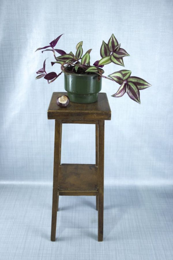 Tradescantia zebrina kamerplant op houten krukje tegen blauwgrijze achtergrond.