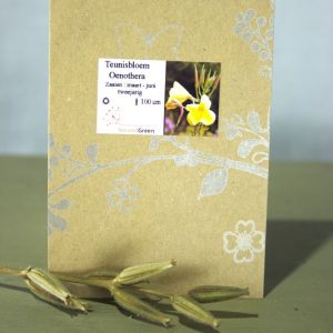 Teunisbloem zaden (Oenothera)