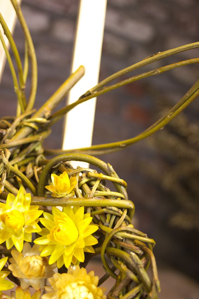 Gele droogbloemen strobloem
