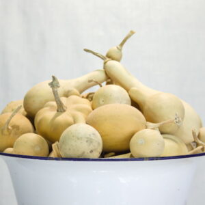 Gedroogde mini kalebassen in vintage schaal