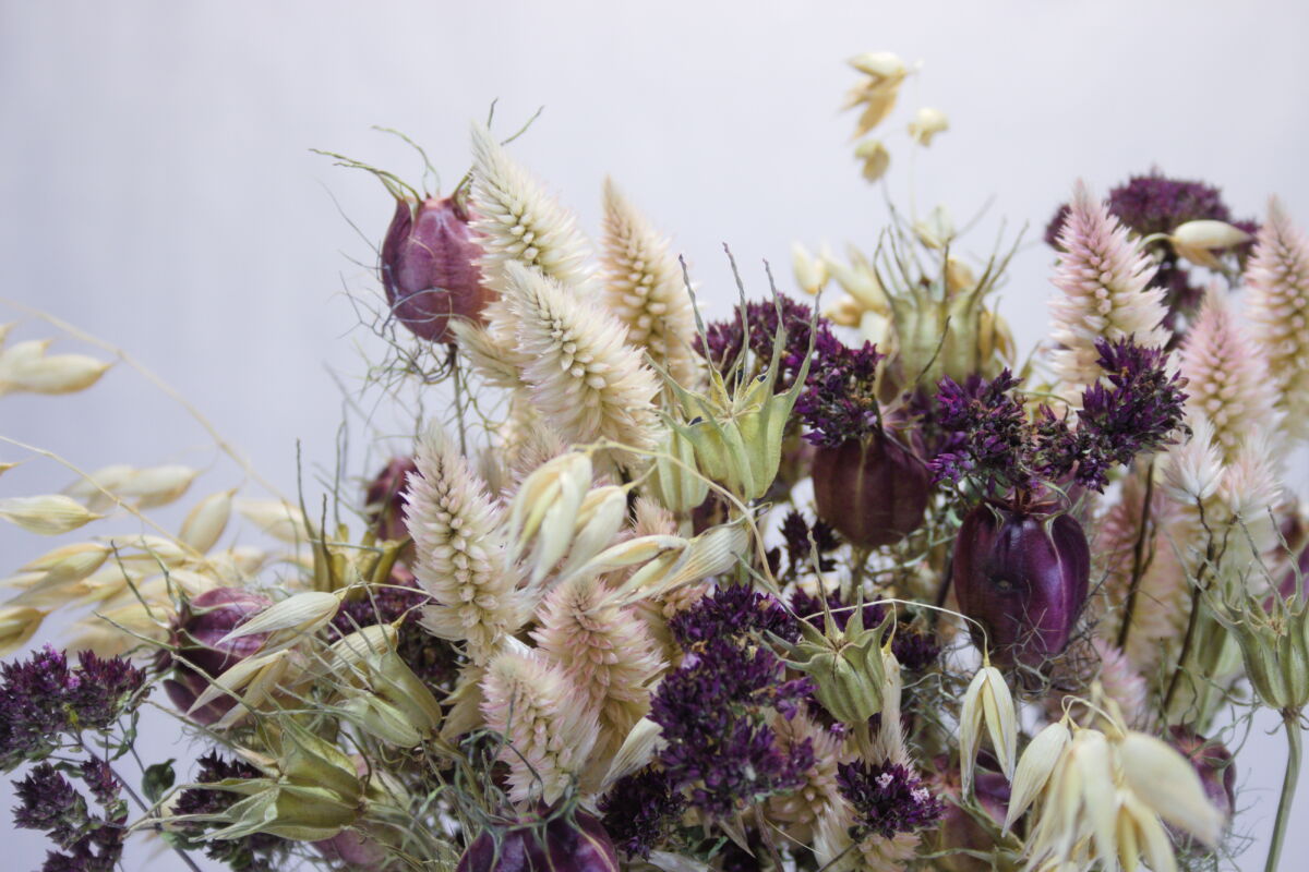 Close-up droogbloemen boeket "roze-rood"