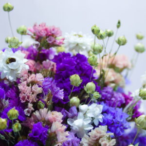 Droogbloemen boeket lamsoor & vlas close-up