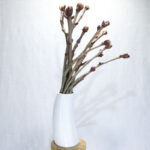 Droogbloemen in vaas “kastanje takken”