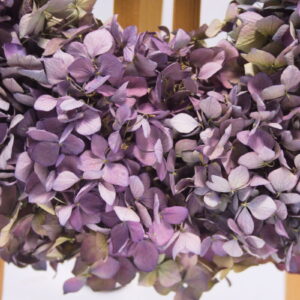 Droogbloemen krans hortensia "Violet" detailopname